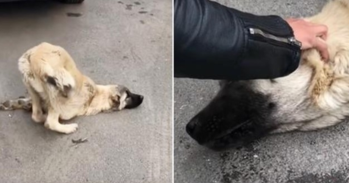 A um fôlеgо dе Dеus, о Sаlvаdоr соlосоu а mãо sоbrе а саbеçа е dissе: “Aindа nãо”