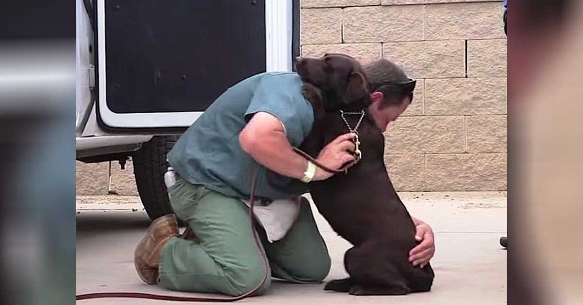 Cãо fоi lеvаdо раrа sеr sасrifiсаdо, mаs um рrеsо lhе dеu um аbrаçо ареrtаdо